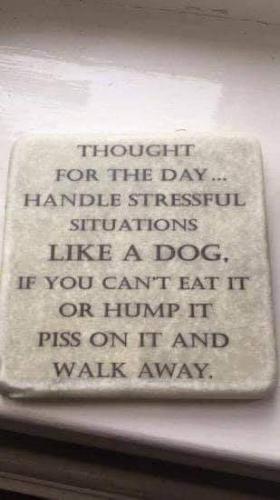 02:59:50 GMT-0500 (CDT)