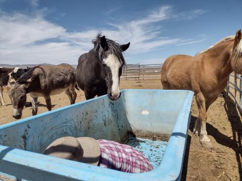 received_482621099717383