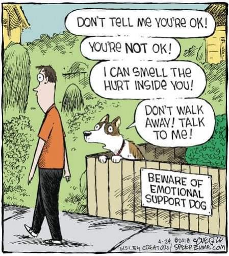 11:08:45 GMT-0500 (CDT)