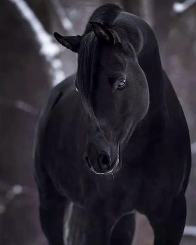 198488246_345939673576379_636428035250904796_n