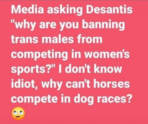 198515303_10214782416913214_4263626214909935734_n