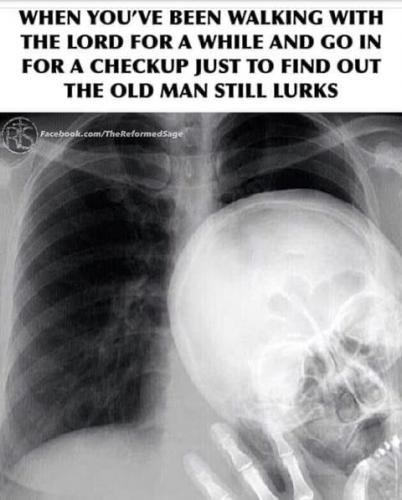 A93A6445-3F44-4F11-8E38-20E4A8ABDCCF