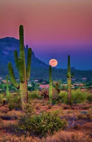 10:00:22 GMT-0500 (CDT)