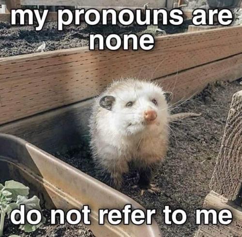 16:49:18 GMT-0500 (CDT)