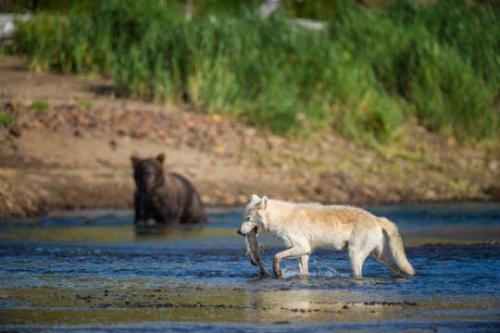 tumblr_4b10950bdcc8b916deac5a38971fb25a_6be65dcf_540