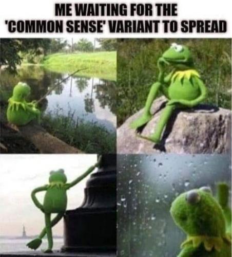 15:59:31 GMT-0600 (MDT)