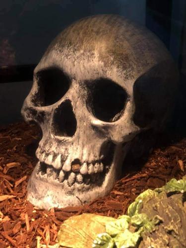 21:09:50 GMT-0400 (EDT)