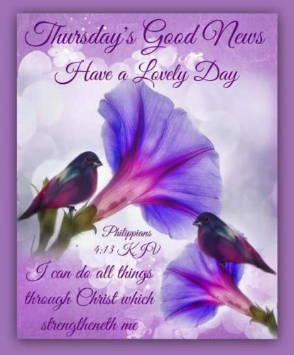 Screenshot_20210610-065230_Gallery