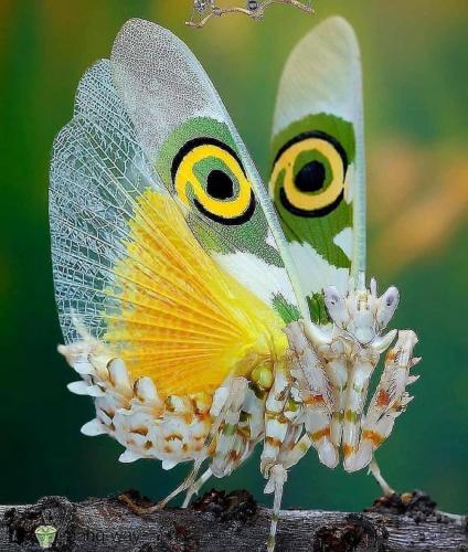 201943887_352959782874368_6337404676480240272_n