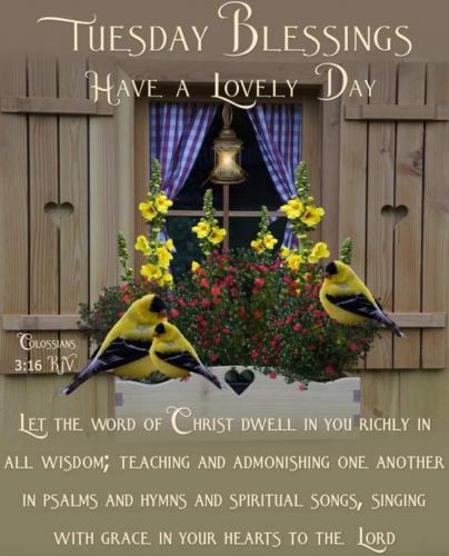 Screenshot_20210622-063057_Gallery