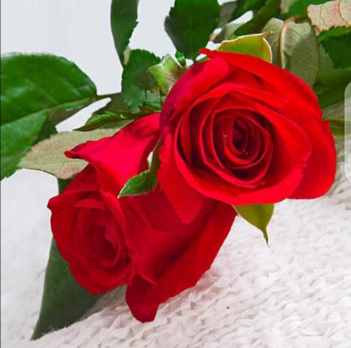 Screenshot_20210529-201355