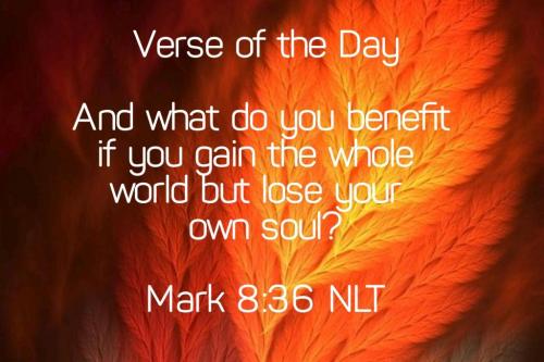 08:04:11 GMT-0400 (EDT)