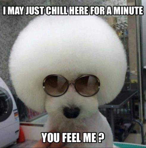 09:14:11 GMT-0500 (CDT)