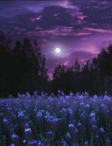 Screenshot_20210628-080256_Gallery