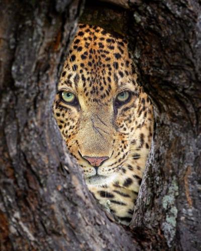 tumblr_1b8114e4a970feb708f15c586defd646_4e901001_540