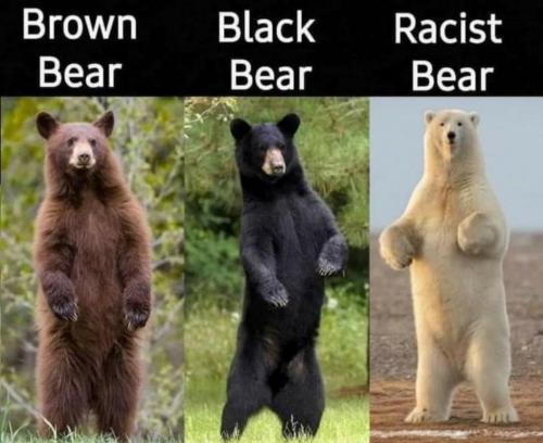 205124301_10159020069250923_8099068769021896080_n