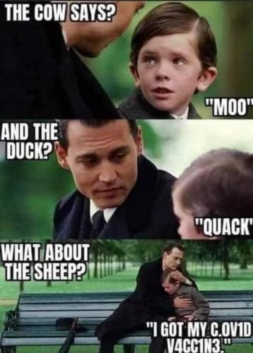 FB_IMG_1623712696505