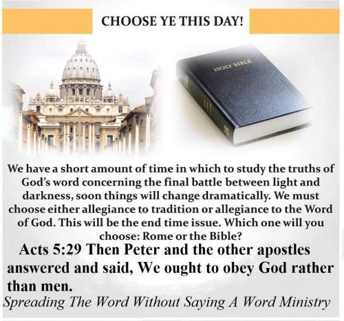 11390169_775252659240534_4252213407622529698_n