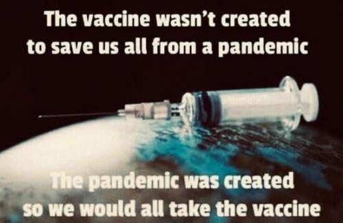 pandemic vaccine