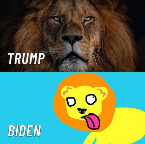 biden571