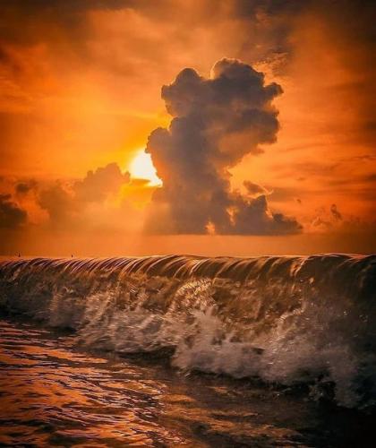 201650573_350934703076876_4074951783959930218_n