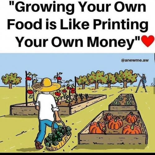 Growing your own food