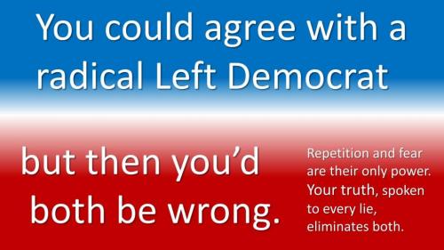 radical left dem