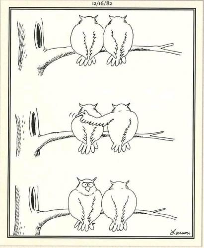 208325469_354896672725532_6925084313854253136_n