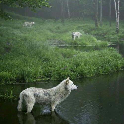 192851212_330128035347896_5345665519228801546_n