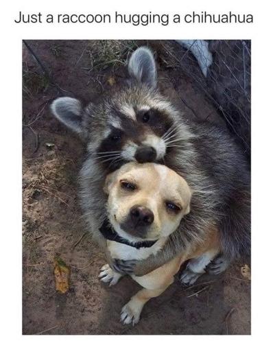 23:29:32 GMT-0700 (PDT).image