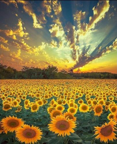 07:22:23 GMT-0500 (CDT)