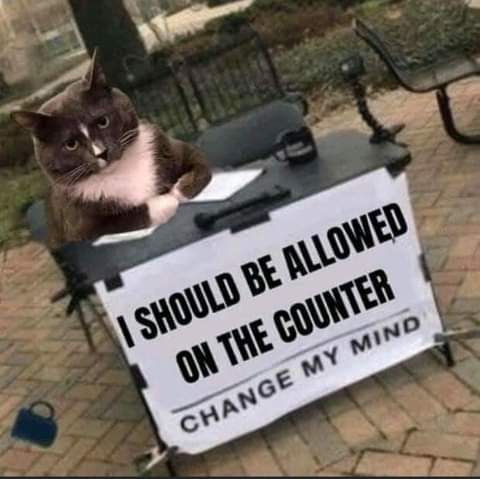 22:07:04 GMT-0700 (PDT)