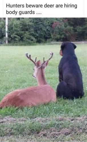 11:27:35 GMT-0400 (EDT)