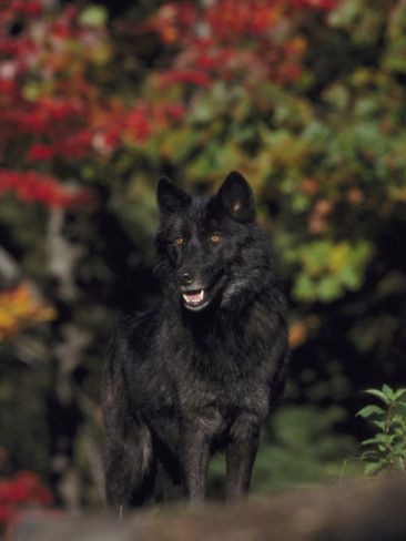 18:52:32 GMT-0500 (CDT)