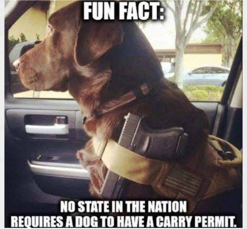 19:07:13 GMT-0500 (CDT).image