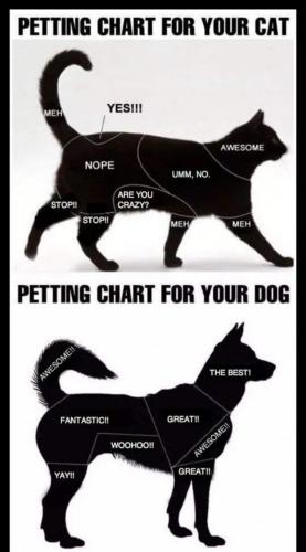 06:26:21 GMT-0700 (PDT)