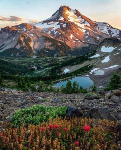 tumblr_8ff4901cb76e9c2958e347f47eceaa48_509dc4f0_540