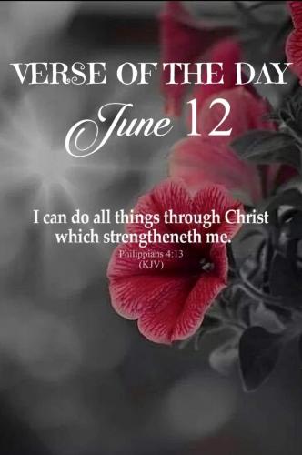 Screenshot_20210611-213212_Gallery