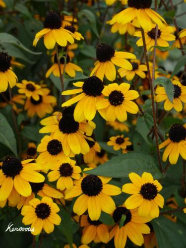 tumblr_ovjv33mHHE1sd7xhoo1_540