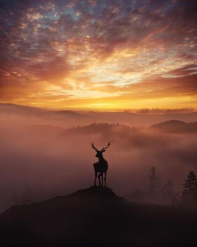 tumblr_11d92afb1793322d9eb0c6c2f34ac8d3_9c88eeca_540