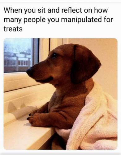 16:33:51 GMT-0700 (MST).image