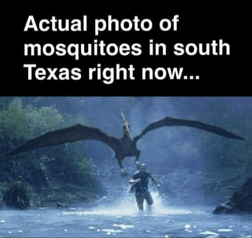 20:52:22 GMT-0500 (CDT)