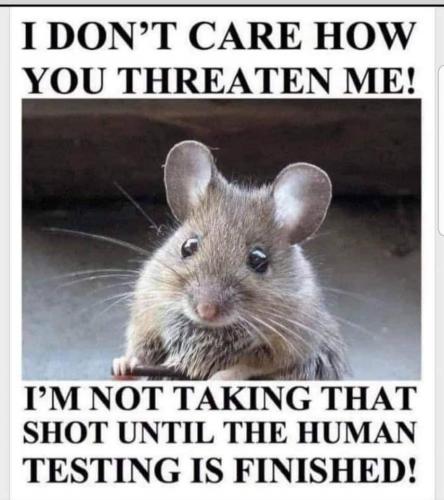 IMG_Wed Jun 02 19_16_45 CDT 2021