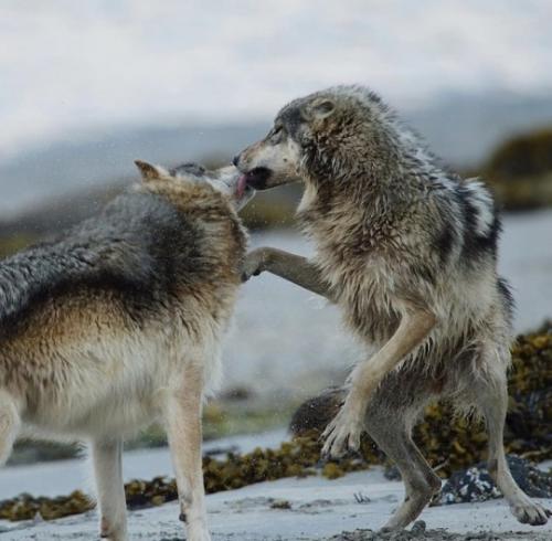 tumblr_256de1aa57952dec313e869d21d19d00_f57e38b1_540