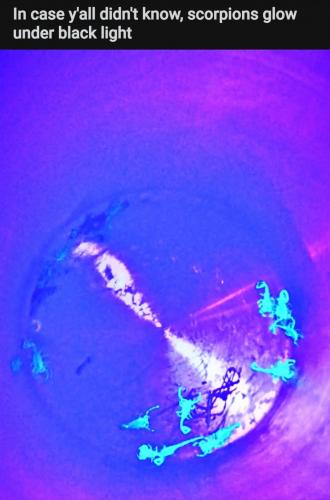 21:40:55 GMT-0400 (EDT)