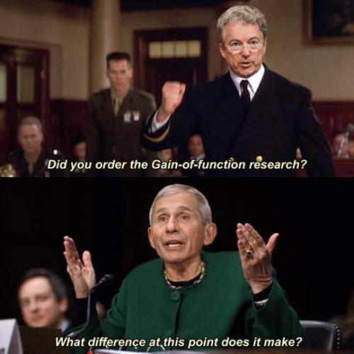fauci81