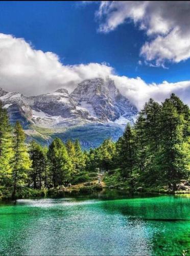 Screenshot_20210621-073811_Gallery