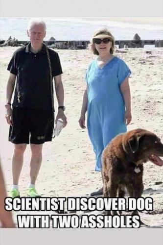 16:15:08 GMT-0400 (EDT).image