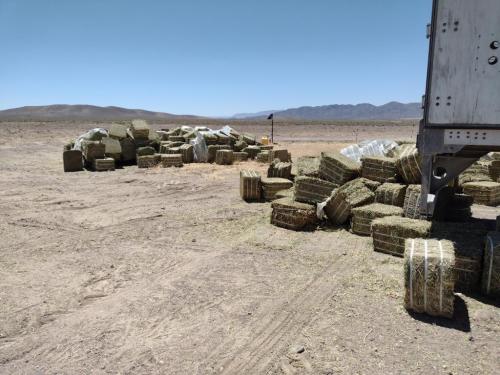 IMG_20210615_132340773