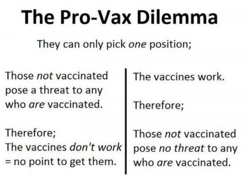 pro vax dil